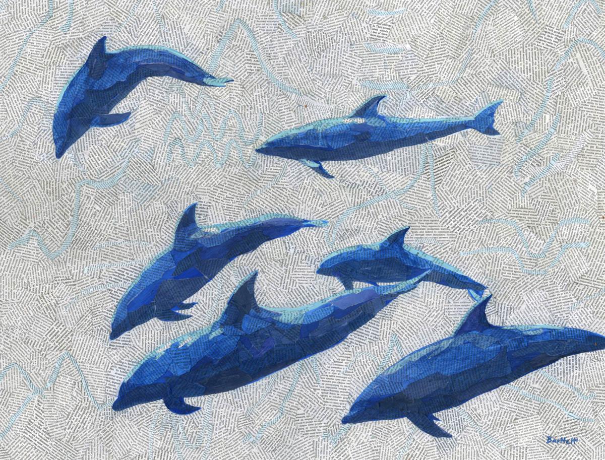 Whistlers BY PAUL BARTLETT, Animal Art, Limited Edition Print, Dolphin Art