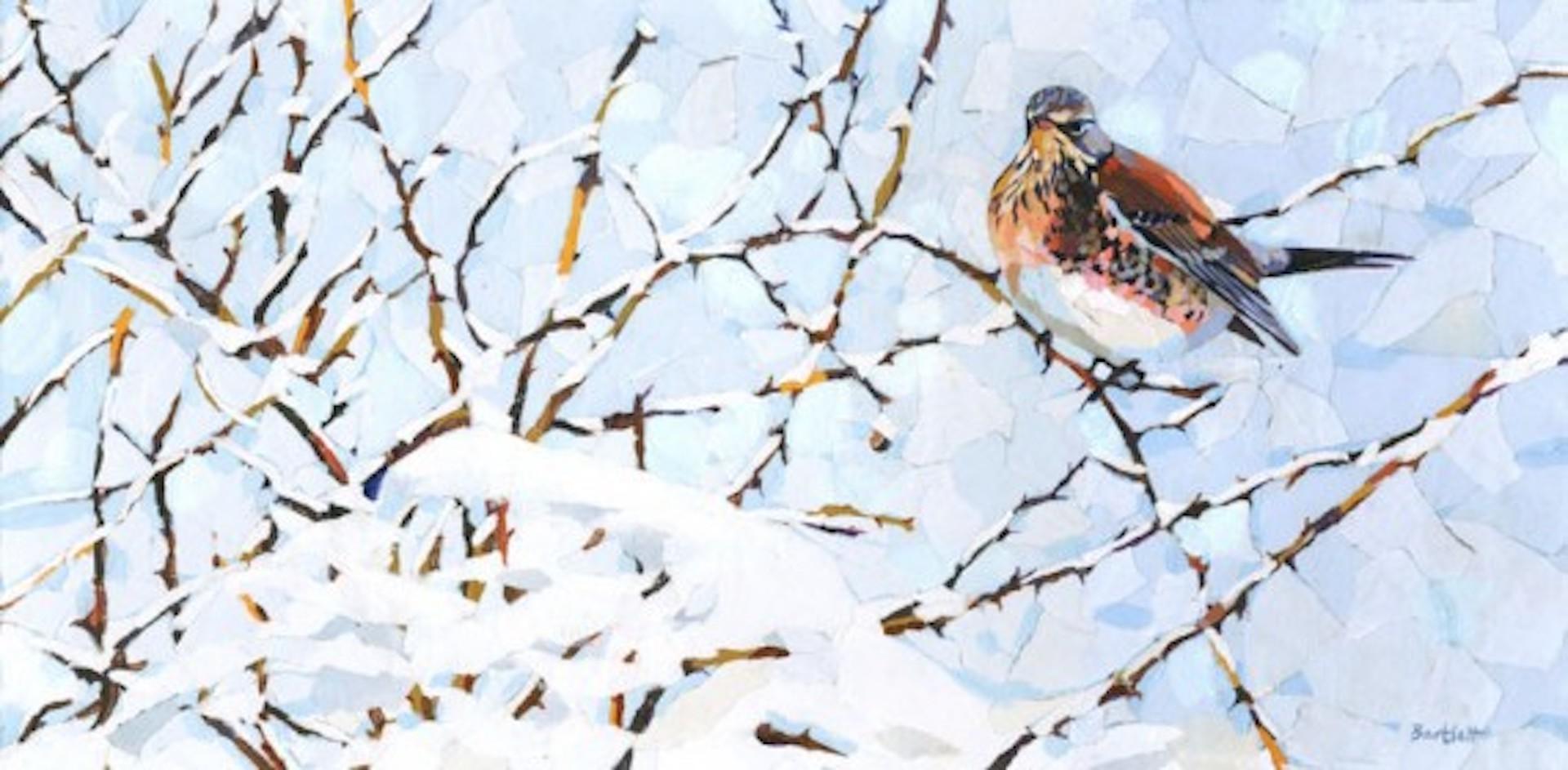 Fieldfare invernal, Paul Bartlett, Impresión de edición limitada, Arte asequible, Arte de aves en venta 1