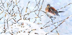 Winter Fieldfare, Paul Bartlett, Limited Edition Print, Affordable Art, Bird Art