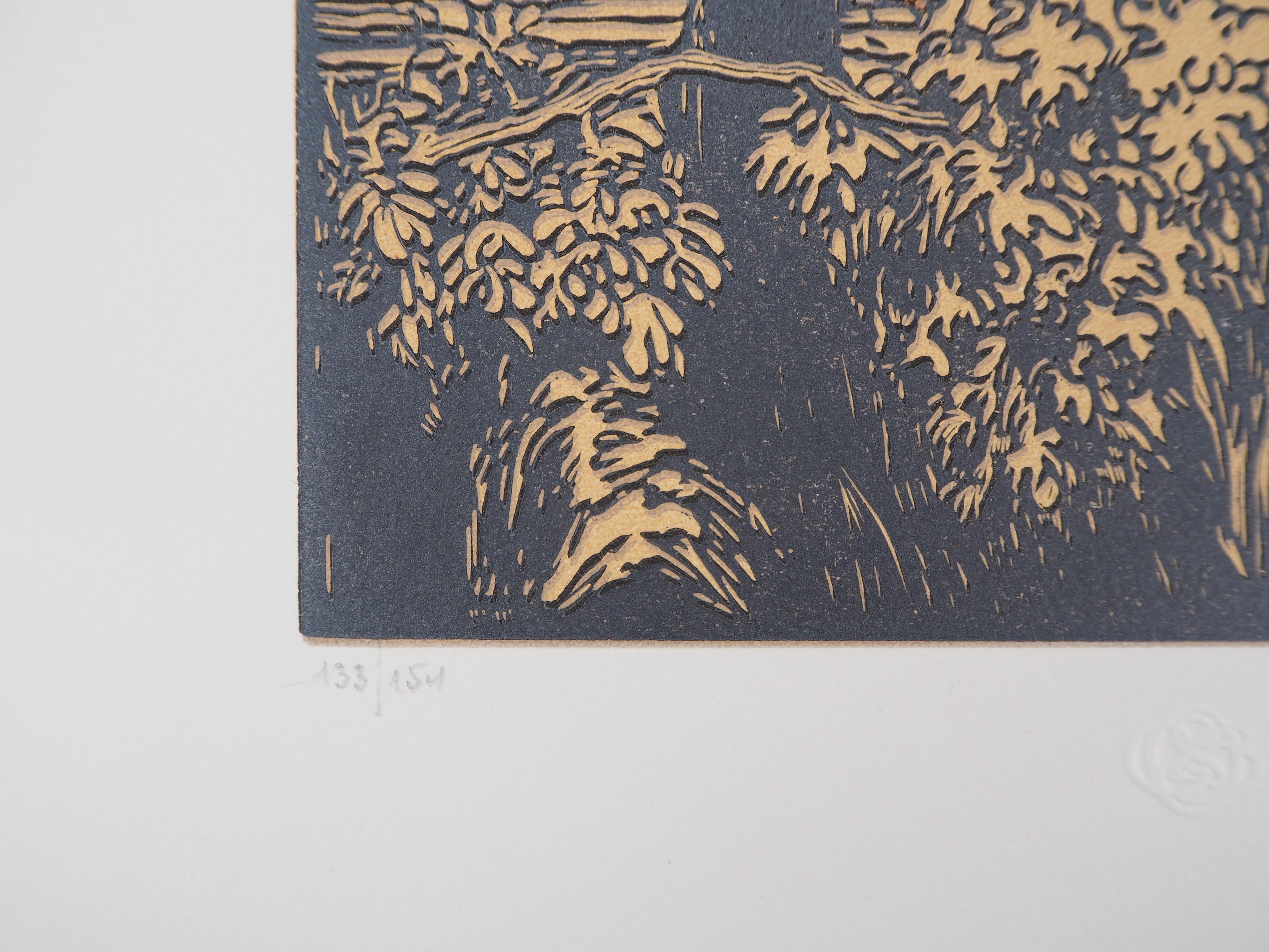 La Vecchia Casa - Incisione originale su legno, firmata e numerata a mano - Print Moderno di Paul Baudier
