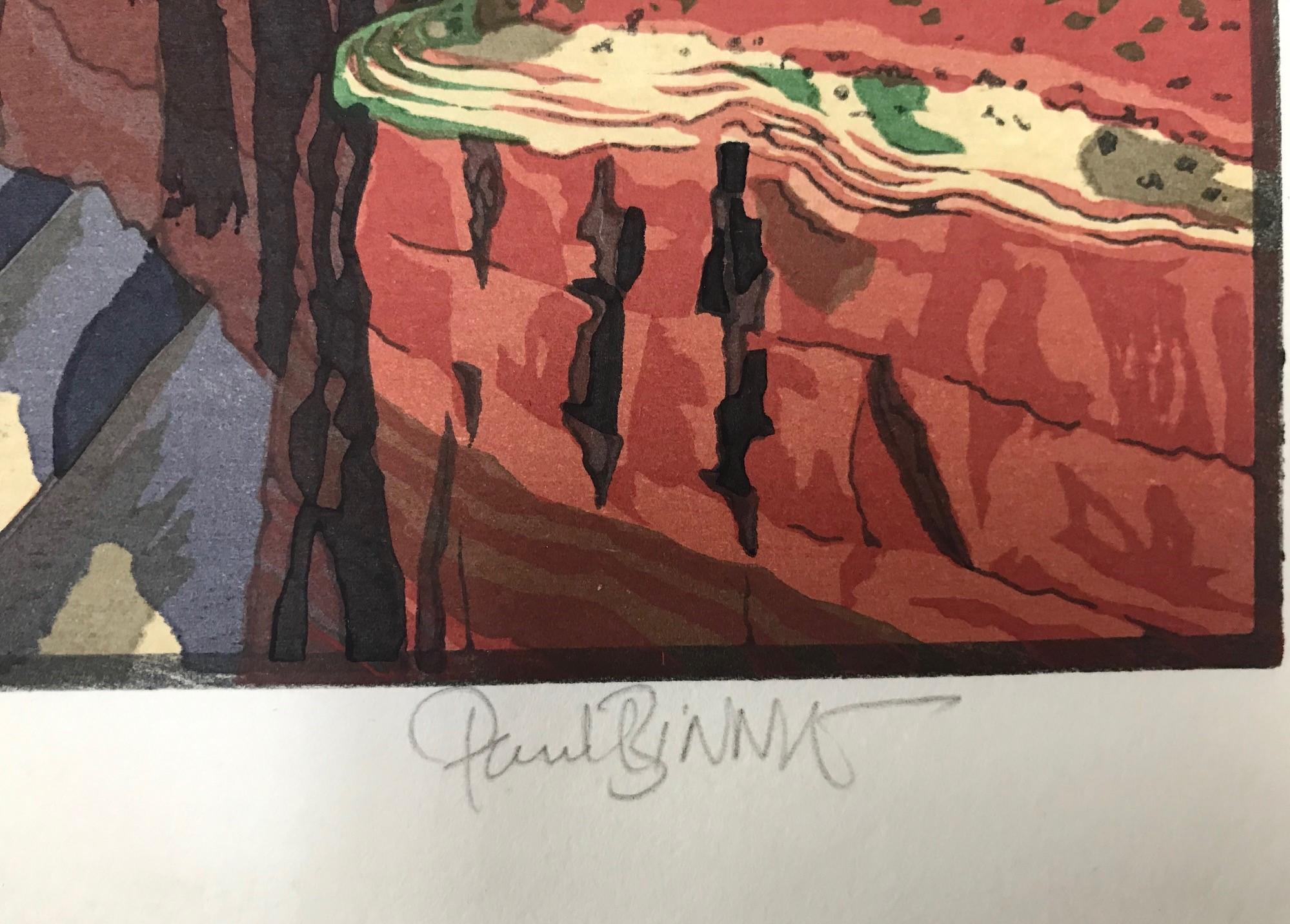 Paul Binnie Limited Edition Signed Japanese Woodblock Cloud Shadows Grand Canyon In Excellent Condition In Studio City, CA