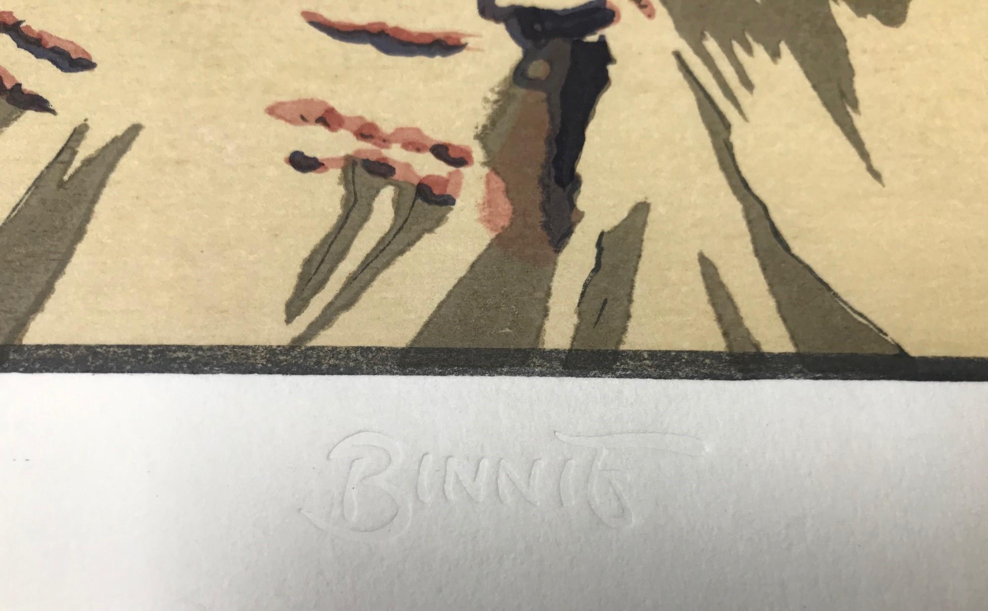 Paul Binnie Limited Edition Signed Japanese Woodblock Cloud Shadows Grand Canyon 2