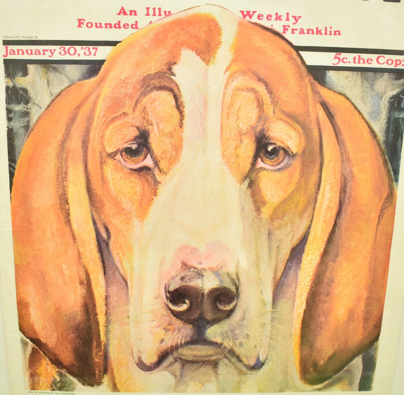 fox and hound magazine