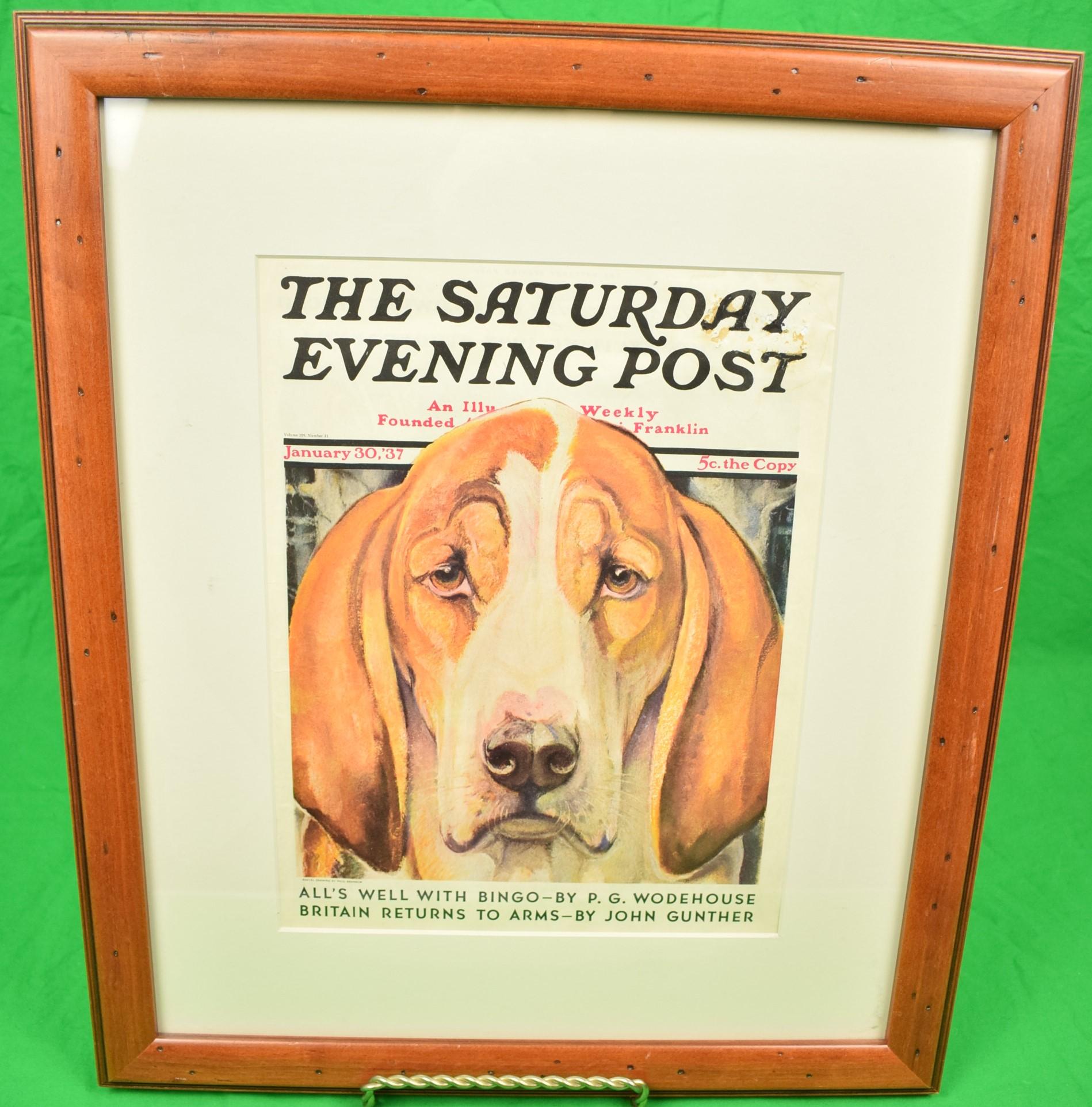 "The Saturday Evening Post January 30, 1937 Magazine Cover Of A Fox-Hound" - Print by Paul Bransom