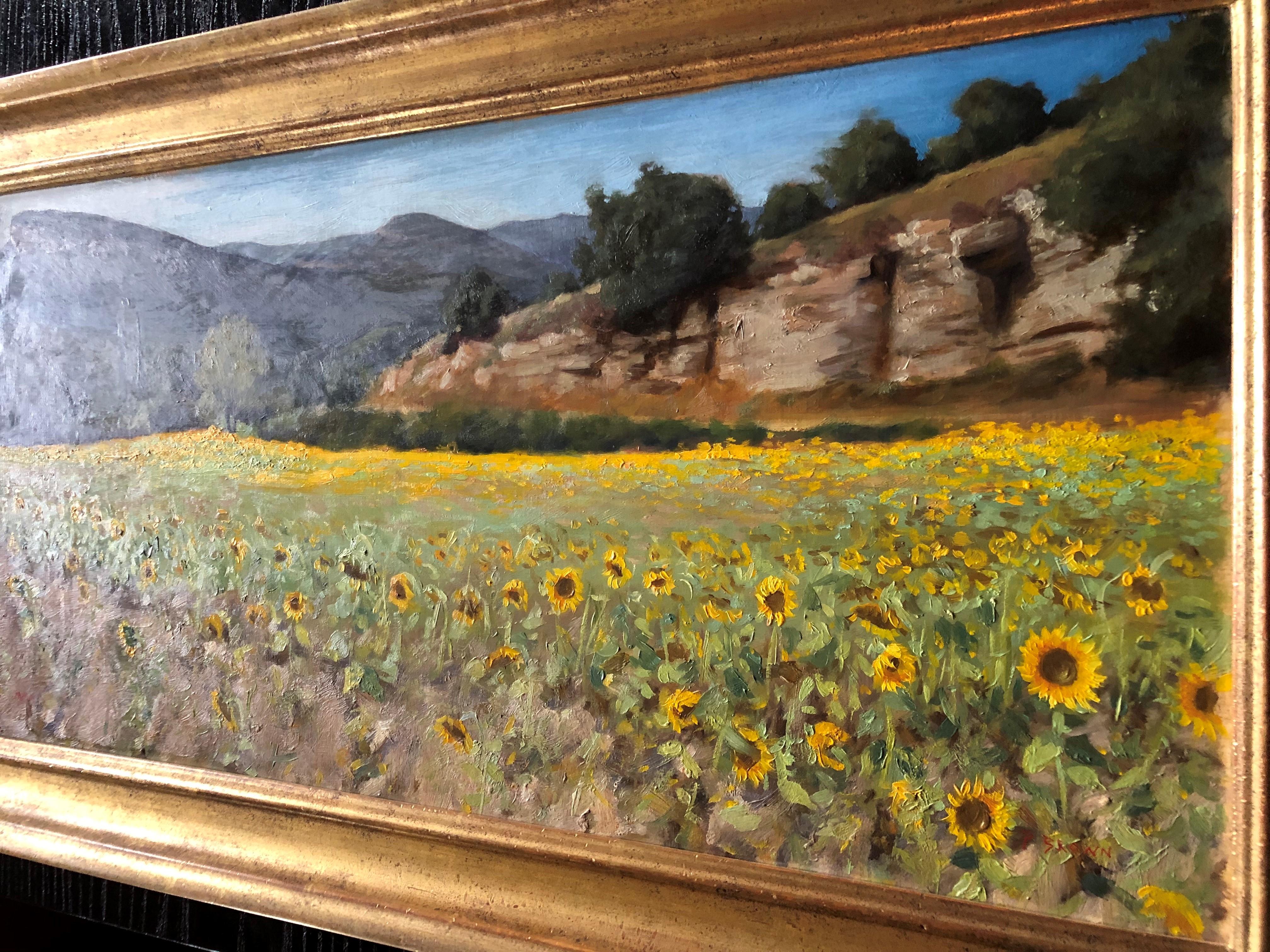 sunflowers on canvas