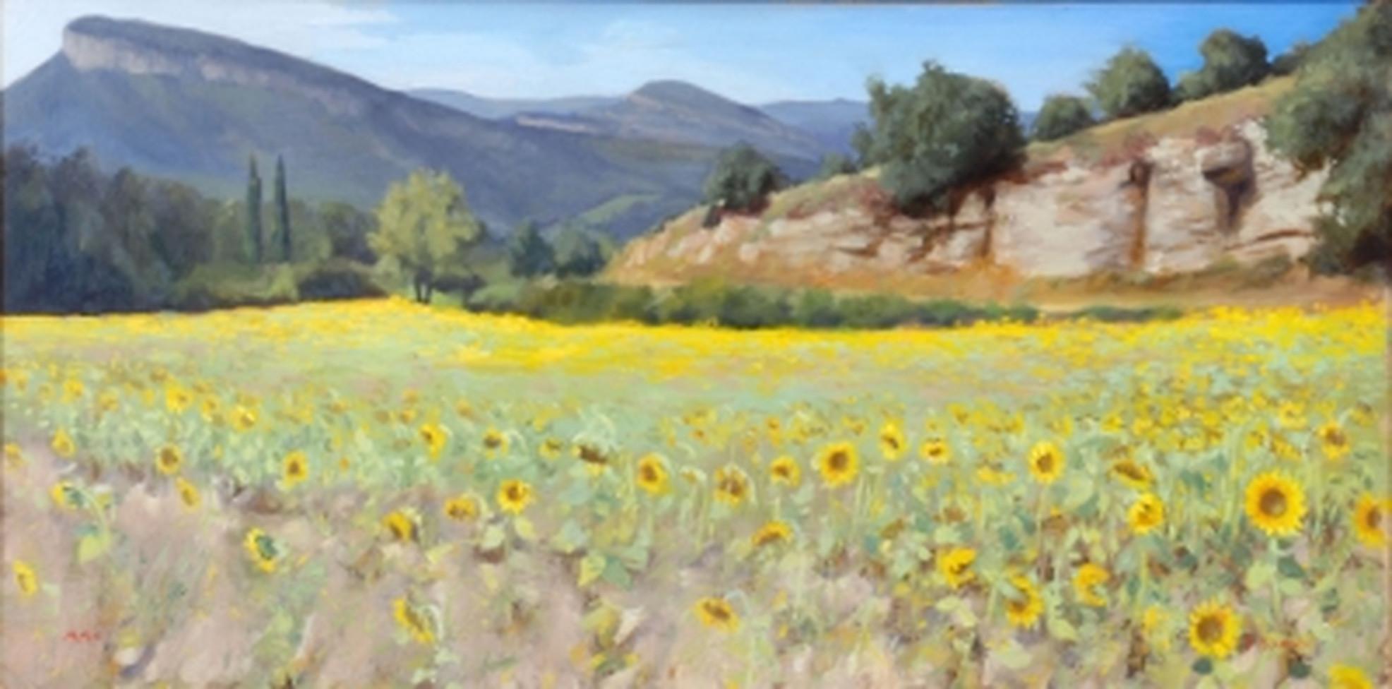 Paul BROWN Landscape Painting -  Sunflowers Rieux en Val 
