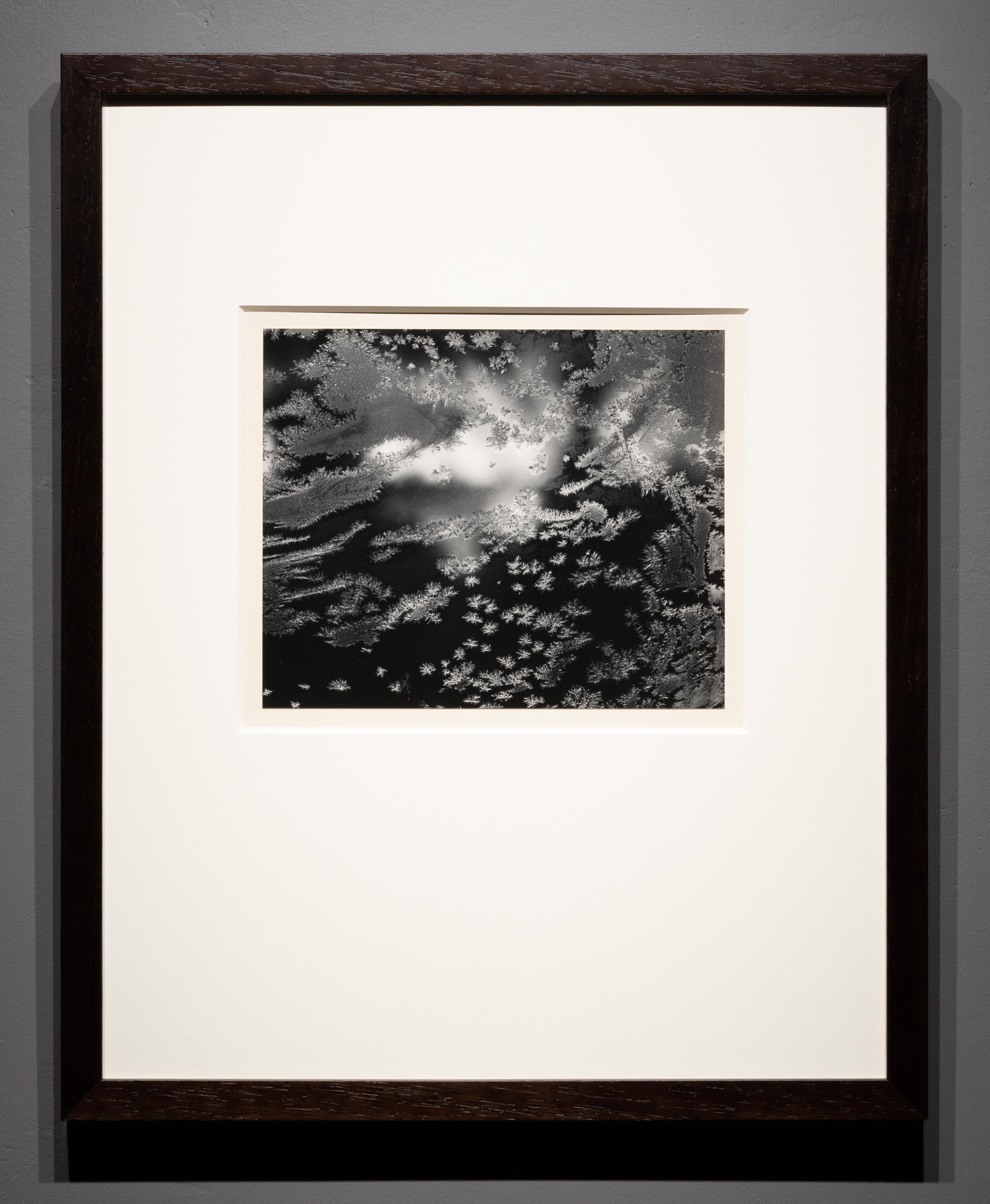 Ventana Esmerilada - Photograph de Paul Caponigro