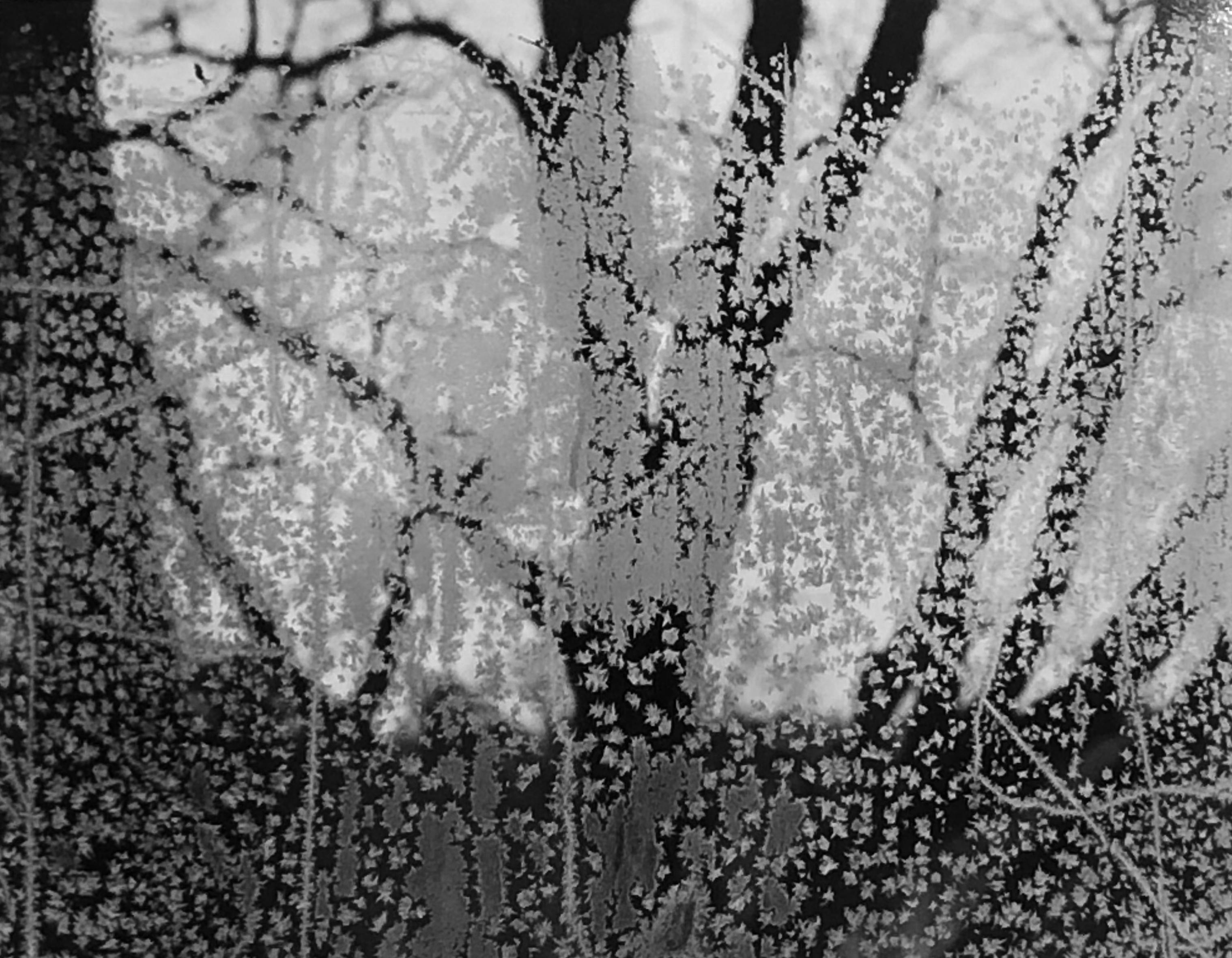 Paul Caponigro Landscape Photograph - Frosted Window, Ipswich, MA