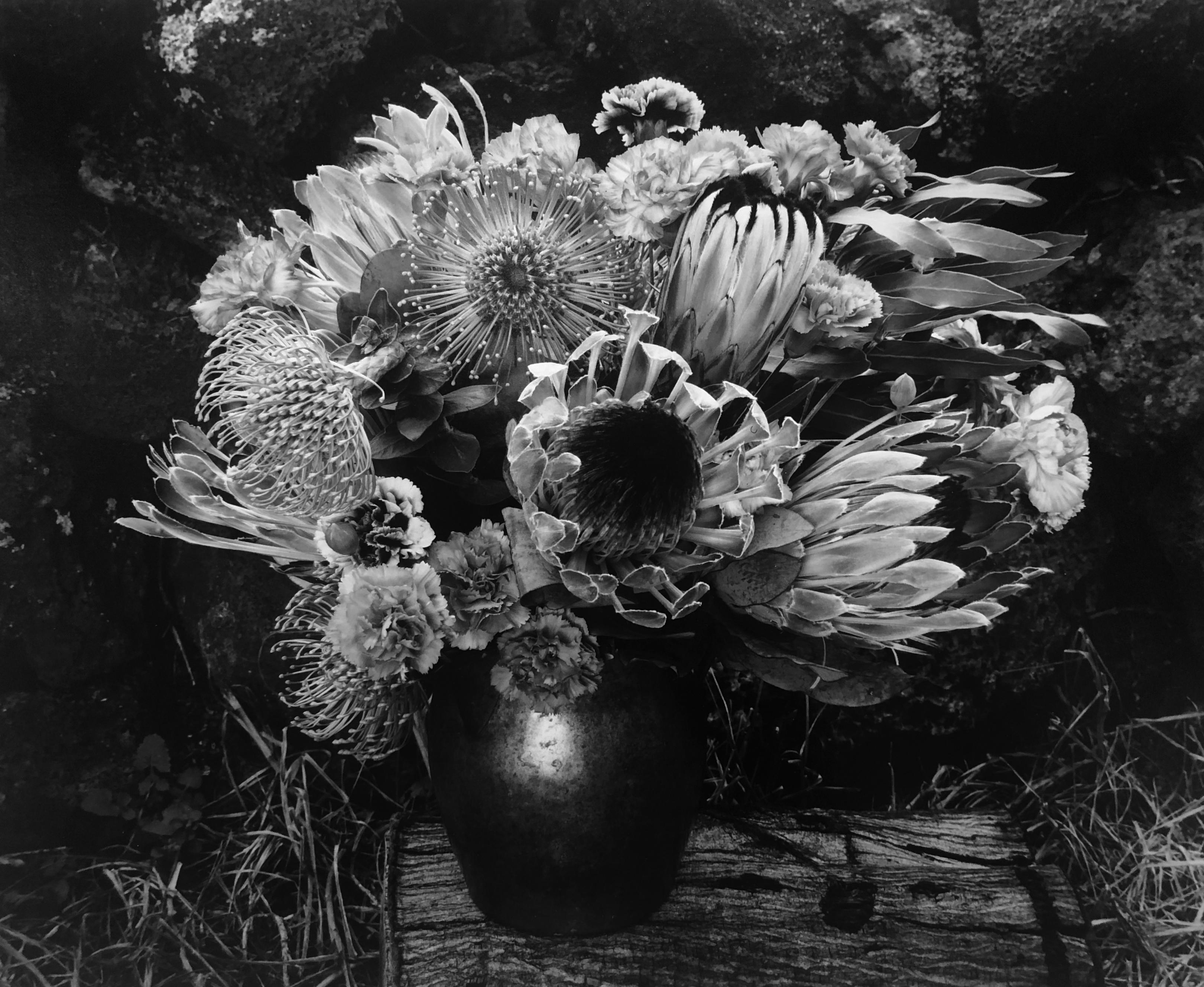 Paul Caponigro, Flower Vase, 1977, gelatin silver print, Signed on mount recto and matt verso. Image Size: 10.25 x 12.25". Matted size: 18 x 22".  [flowers in vase still life]

Born in Boston in 1932, Paul Caponigro is one of America’s foremost