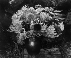 Paul Caponigro, vase à fleurs, 1977, tirage gélatino-argentique.