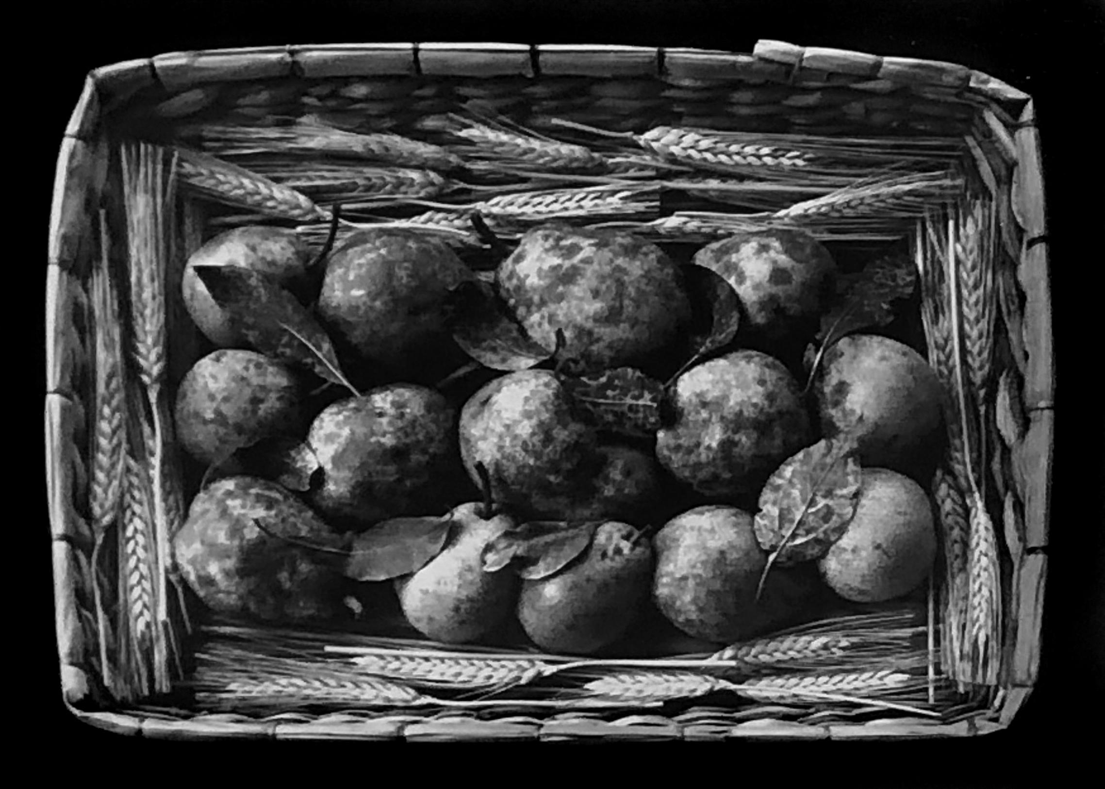 Paul Caponigro, October Harvest, Cushing, ME, 1999, 6.75 x 9,5, silver gelatin print. Signed, titled and dated on mount recto. Excellent condition