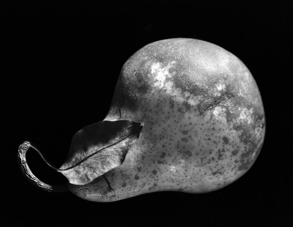 Paul Caponigro, Pear, New York City, 1964, 8 x 10", silver gelatin print. Signed, titled and dated on mount recto. Excellent condition