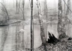 Redding Woods, 1968