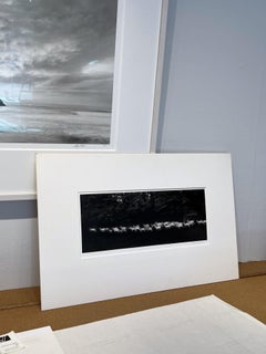 Laufender Weißwedelhirsch