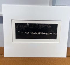 Running White Deer