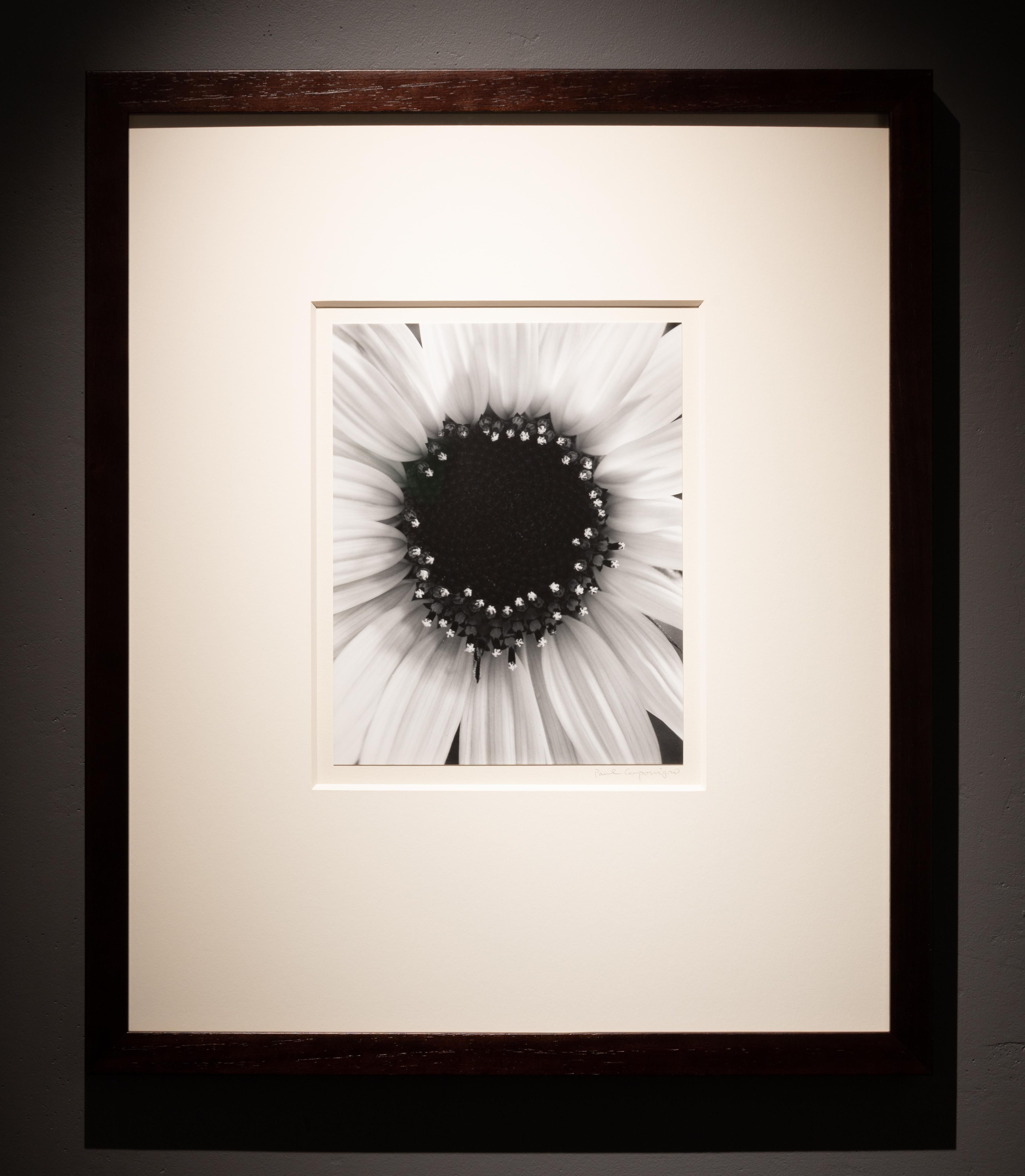 This vintage silver gelatin print is signed in pencil on the front of the mount. 
