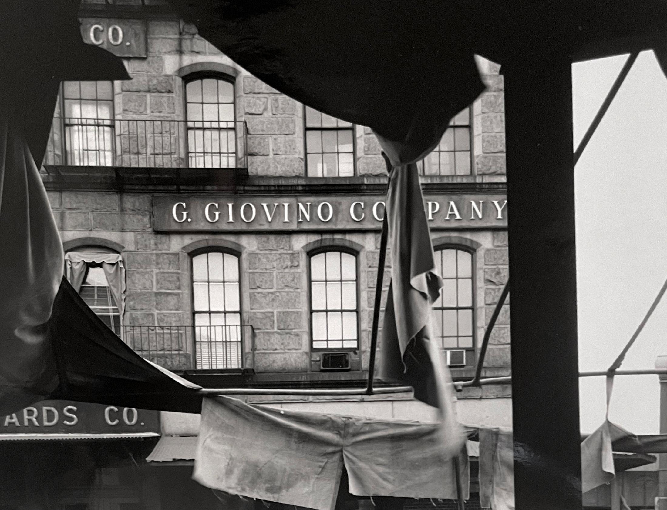 Paul Caponigro Still-Life Photograph – Torn Awning, Marktplatz, Boston, MA. 1960