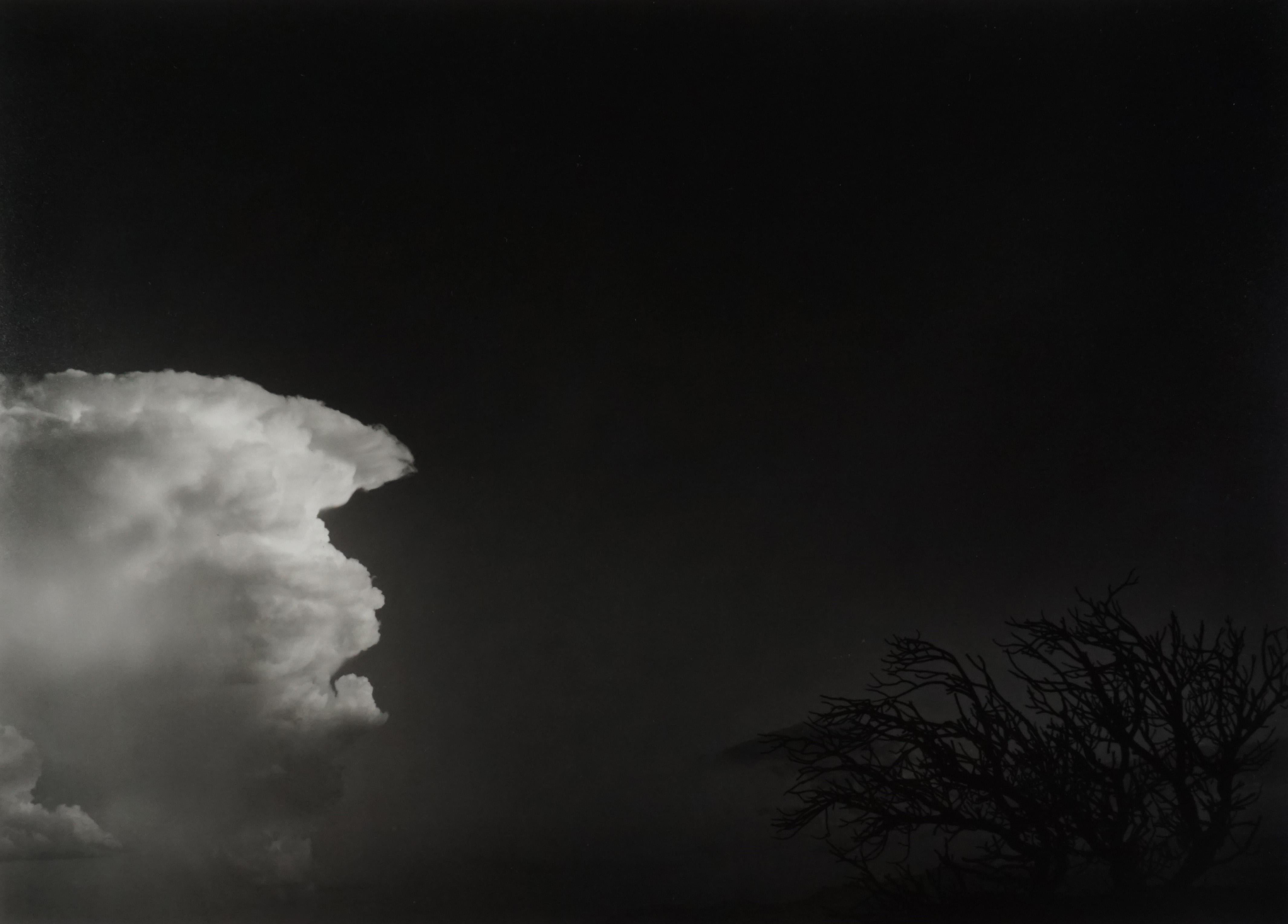 Paul Caponigro Black and White Photograph - Tree & Cloud, New Mexico