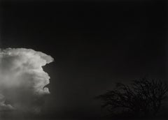 Vintage Tree & Cloud, New Mexico