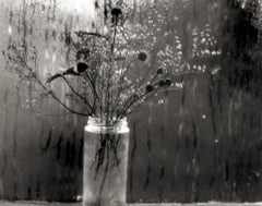 Wild Flowers / Wet Window, Cape Cod, MA, 1958