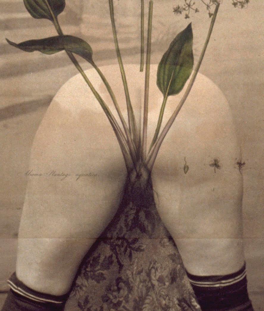 Zeitgenössische sinnliche, erotische Fotografie eines weiblichen Aktes mit historischem Bildmaterial – Photograph von Paul Cava