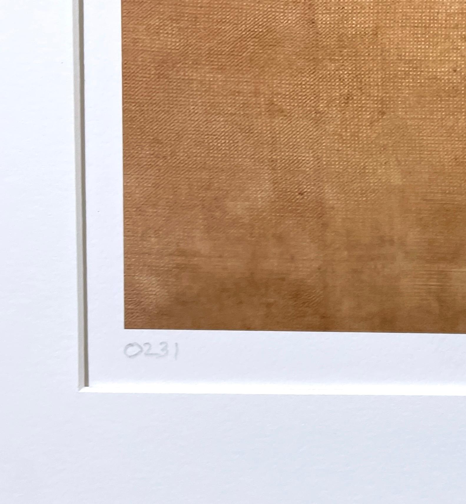 Framed #0231: minimalist nature still-life leaf photograph w/ green, earth tones - Beige Color Photograph by Paul Cava