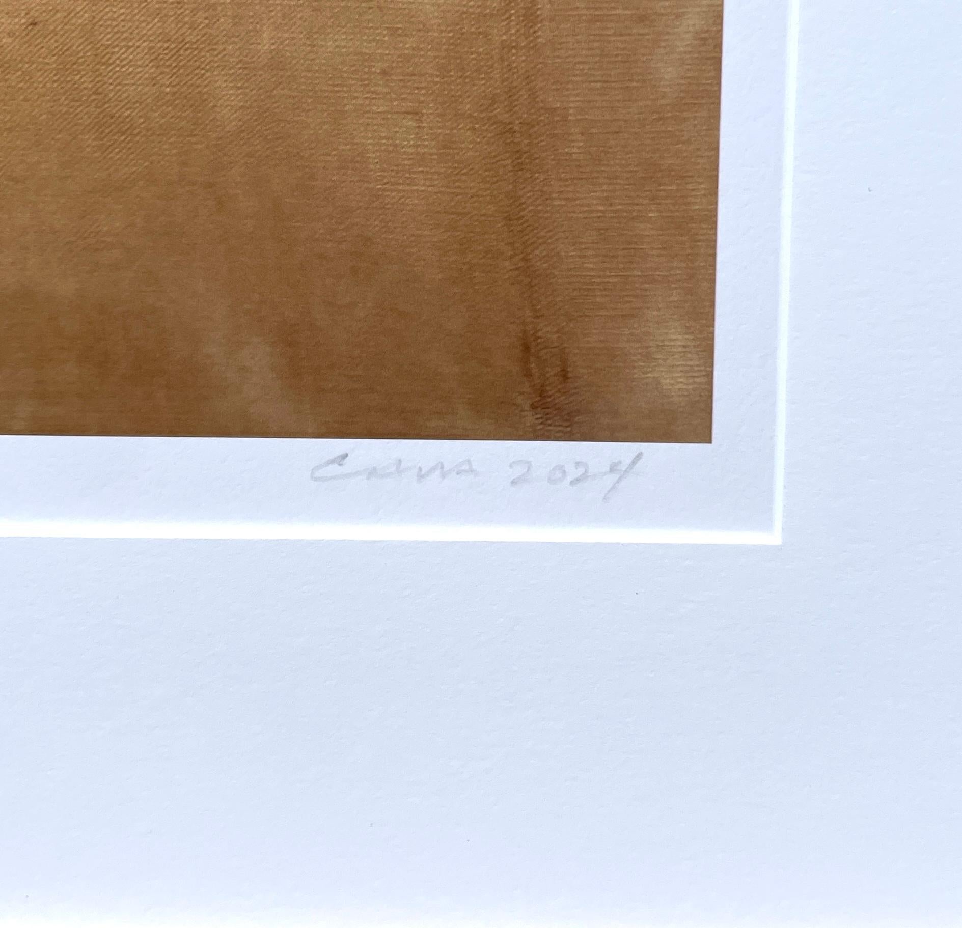 Framed #0231: minimalist nature still-life leaf photograph w/ green, earth tones For Sale 1