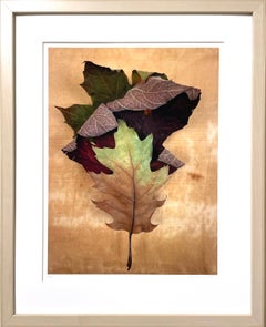 Framed #0231: minimalist nature still-life leaf photograph w/ green, earth tones