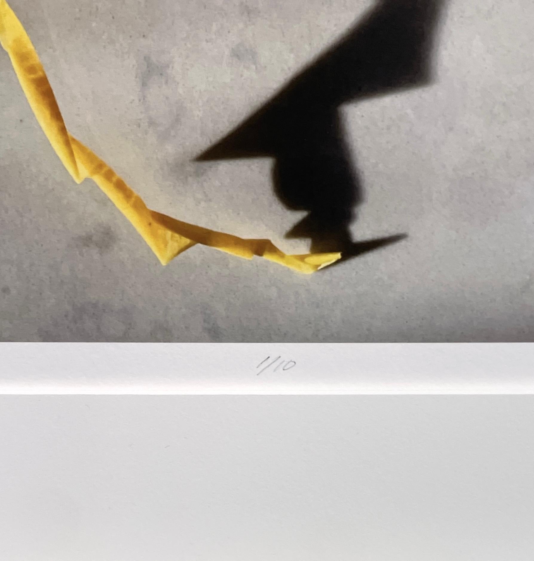 Framed #2275: still life photograph w/ yellow apples & abstract shadow patterns For Sale 1