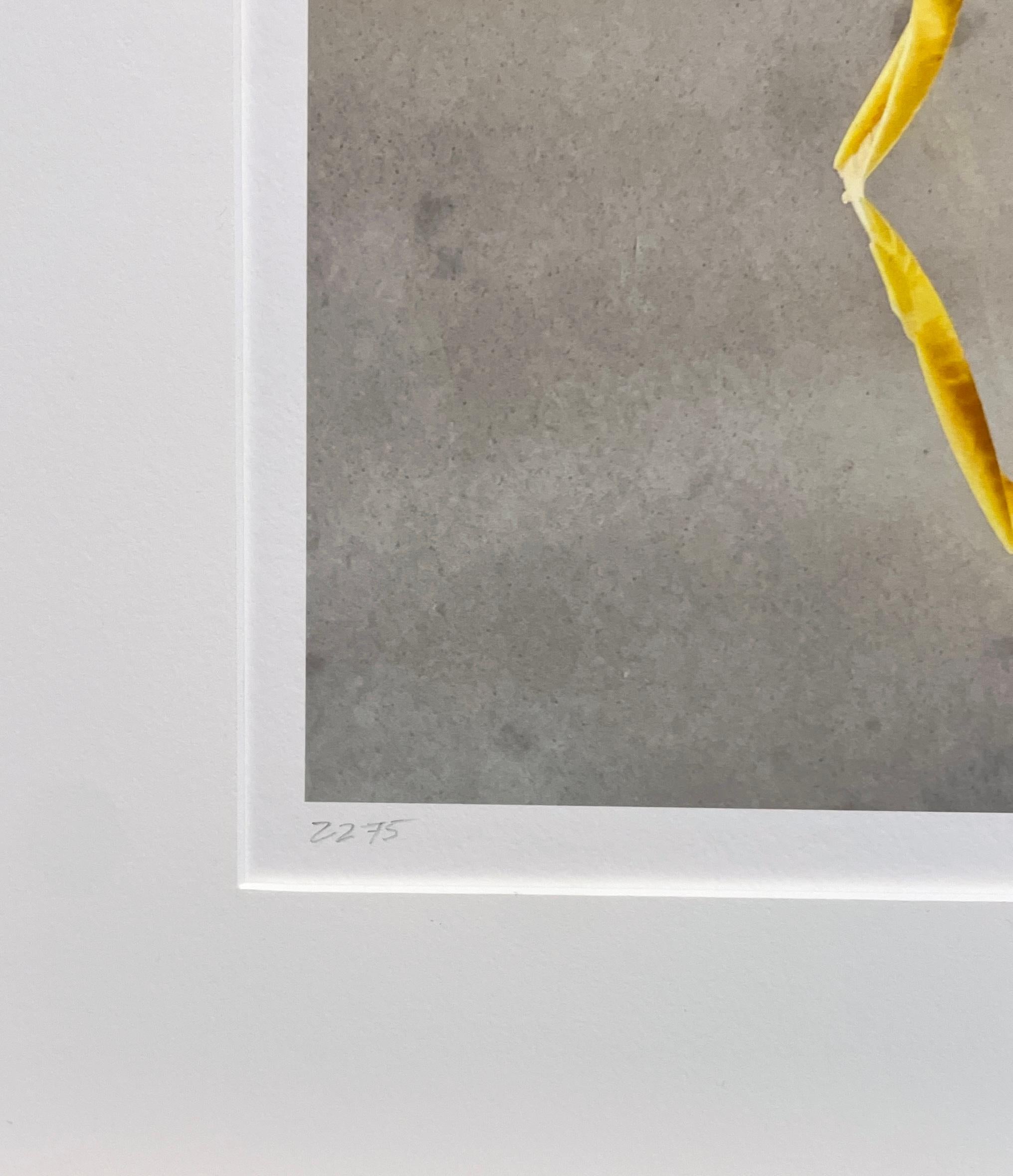 Framed #2275: still life photograph w/ yellow apples & abstract shadow patterns For Sale 2