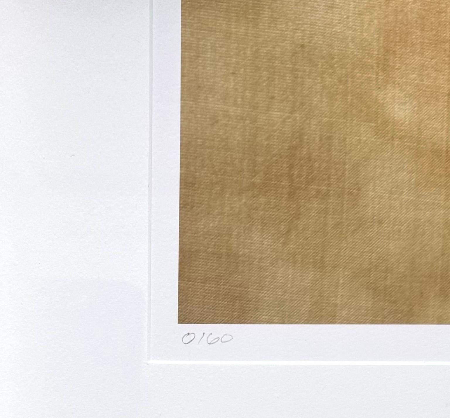 Hojas enmarcadas serie 0160: fotografía de naturaleza muerta de hojas con tonos rojos y tierra en venta 1