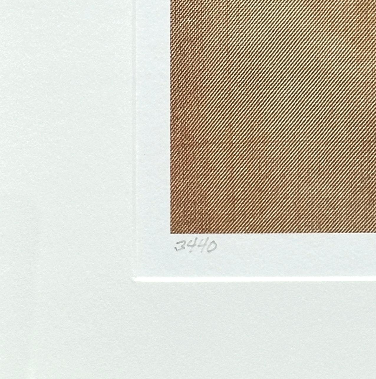 Gerahmte Blätter Serie 3440: Nature Stillleben Foto mit rotem Blatt, Erdtöne im Angebot 3