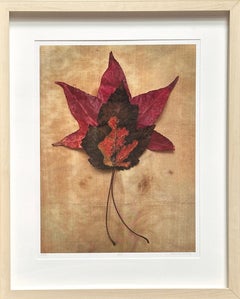 Encadré Leaves série 3440 : photographie de nature morte avec feuille rouge, tons terreux