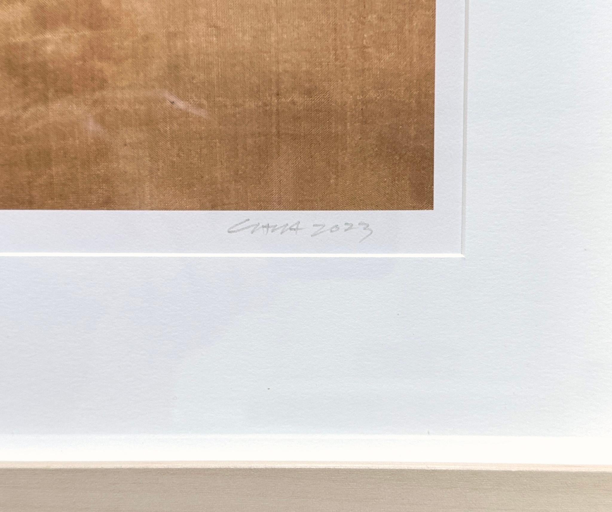 Se trata de una fotografía de pigmento de archivo enmarcada del artista Paul Cava que representa una hoja otoñal muy detallada en una disposición minimalista sobre un fondo texturizado. Está impreso en papel profesional Hahnemuhle Photo Rag. El