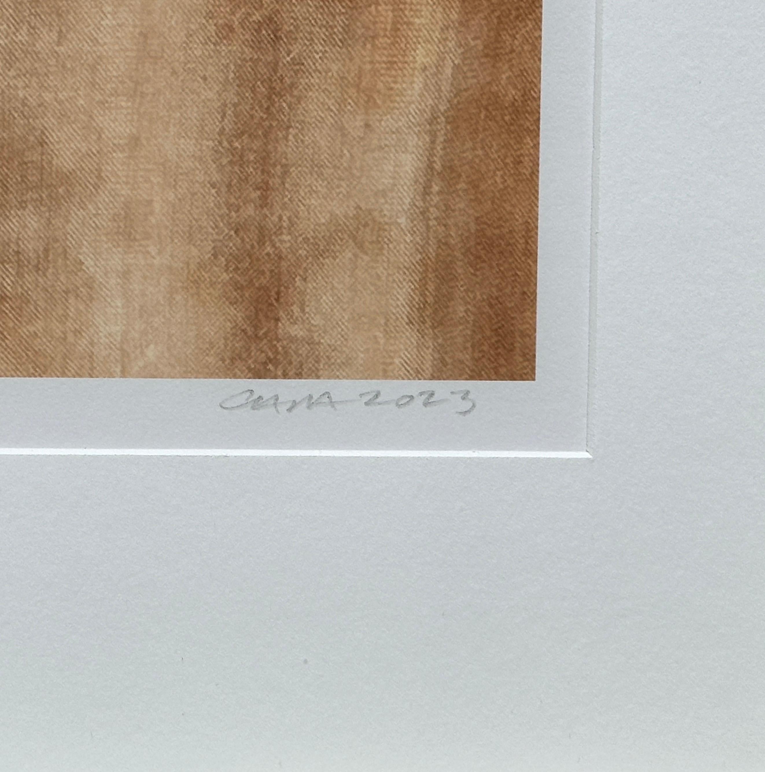 This is a framed archival pigment photograph by artist Paul Cava depicting a highly detailed autumn leaf in a minimalist arrangement on a textured background. It is printed on Hahnemuhle Photo Rag professional paper. Image size is 14.5