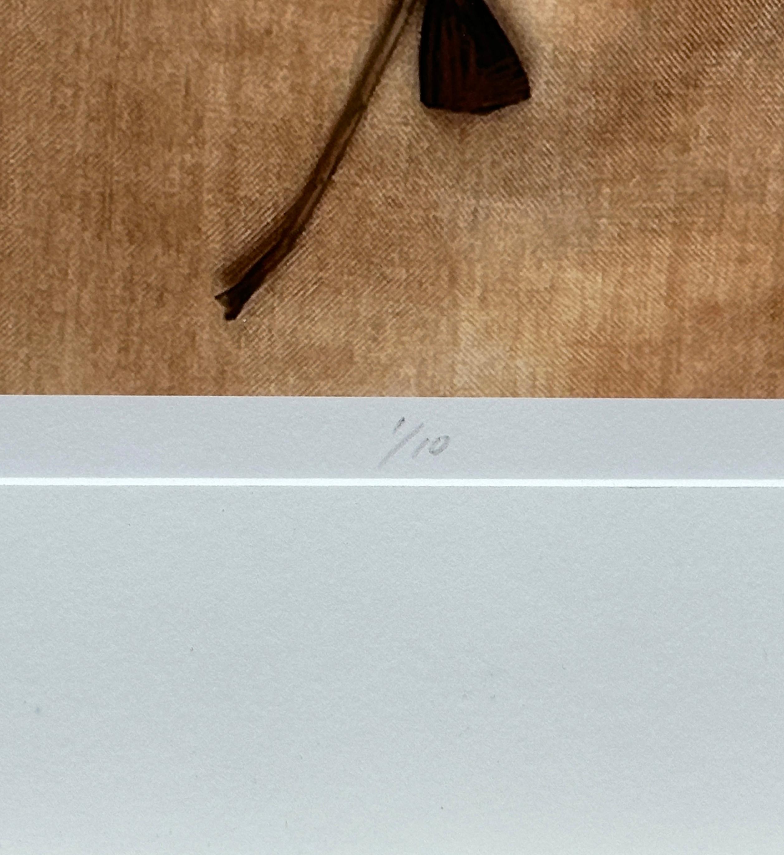 Framed Leaves series 3618: nature still-life minimalist photograph in earth tone For Sale 1