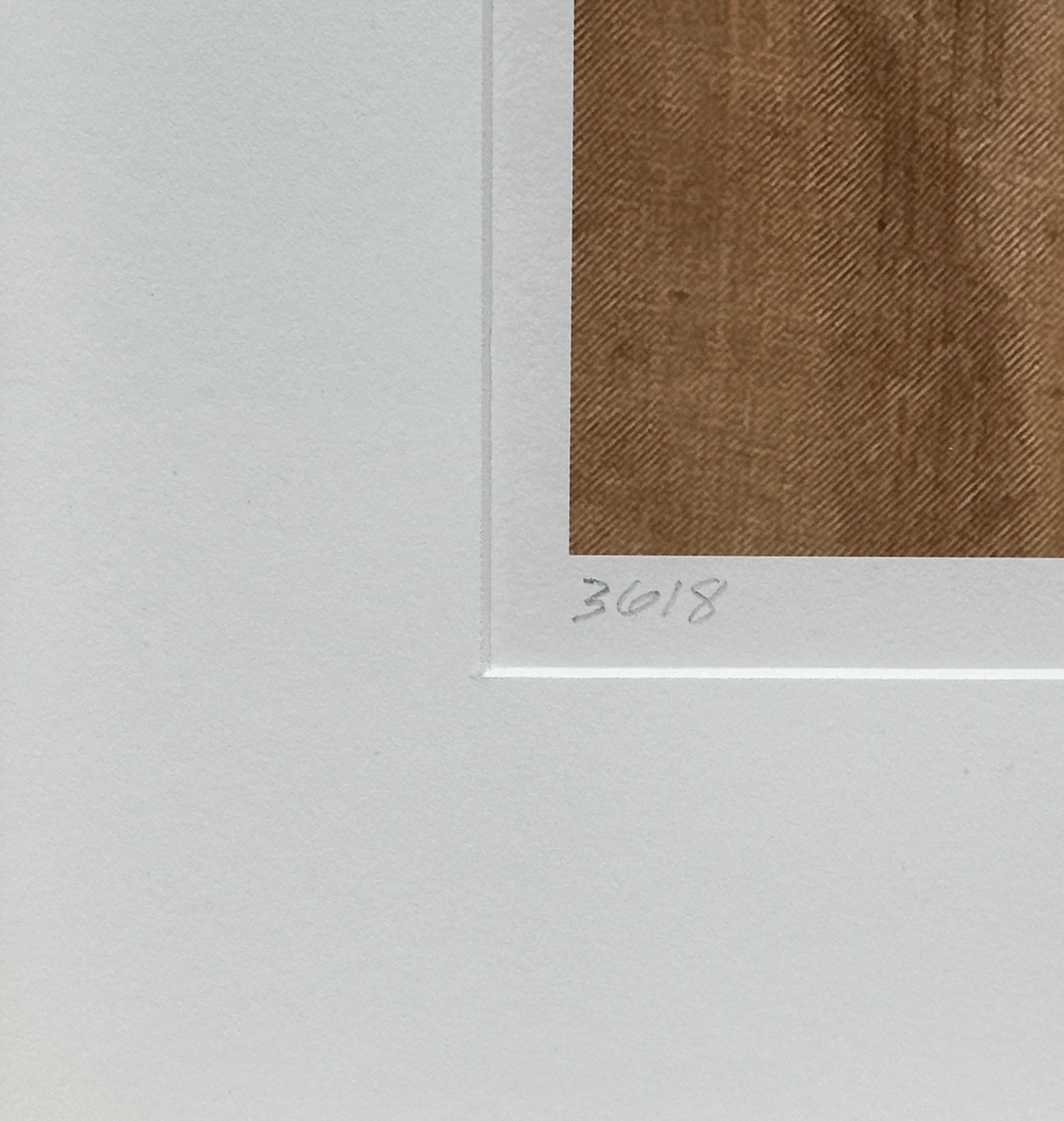 Framed Leaves series 3618: nature still-life minimalist photograph in earth tone For Sale 2