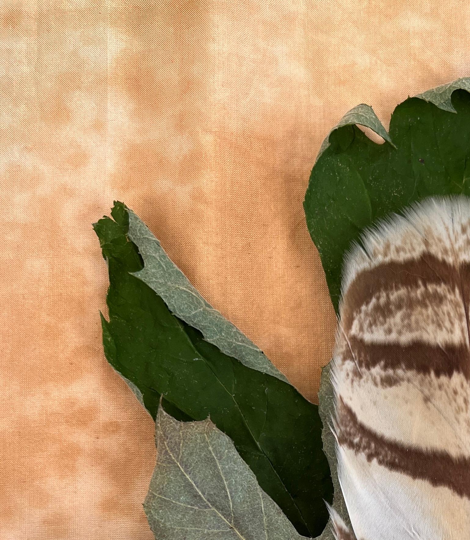 Dies ist eine gerahmte Pigmentfotografie des Künstlers Paul Cava, die ein sehr detailliertes Herbstblatt in einer minimalistischen Anordnung auf einem strukturierten Hintergrund zeigt. Es ist auf Hahnemuhle Photo Rag Professional Papier gedruckt.