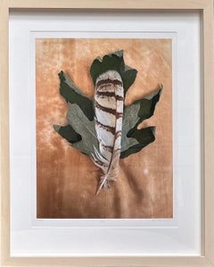 Série encadrée Greene & Greene 4520 : photographie de nature morte avec feuille verte et plume