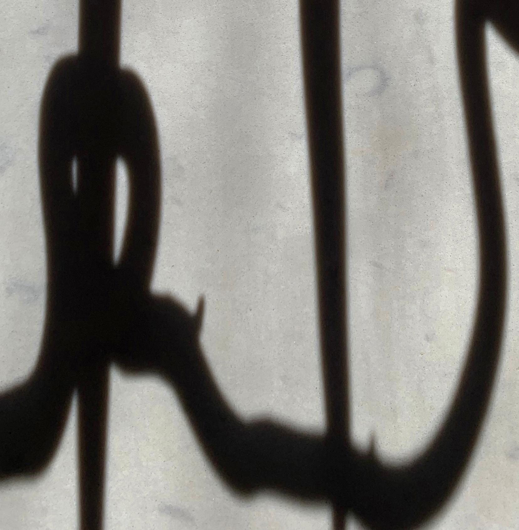 2159 sin título enmarcado: fotografía de bodegón con cornamenta, motivos abstractos de sombras - Still-Life Photograph Gris de Paul Cava