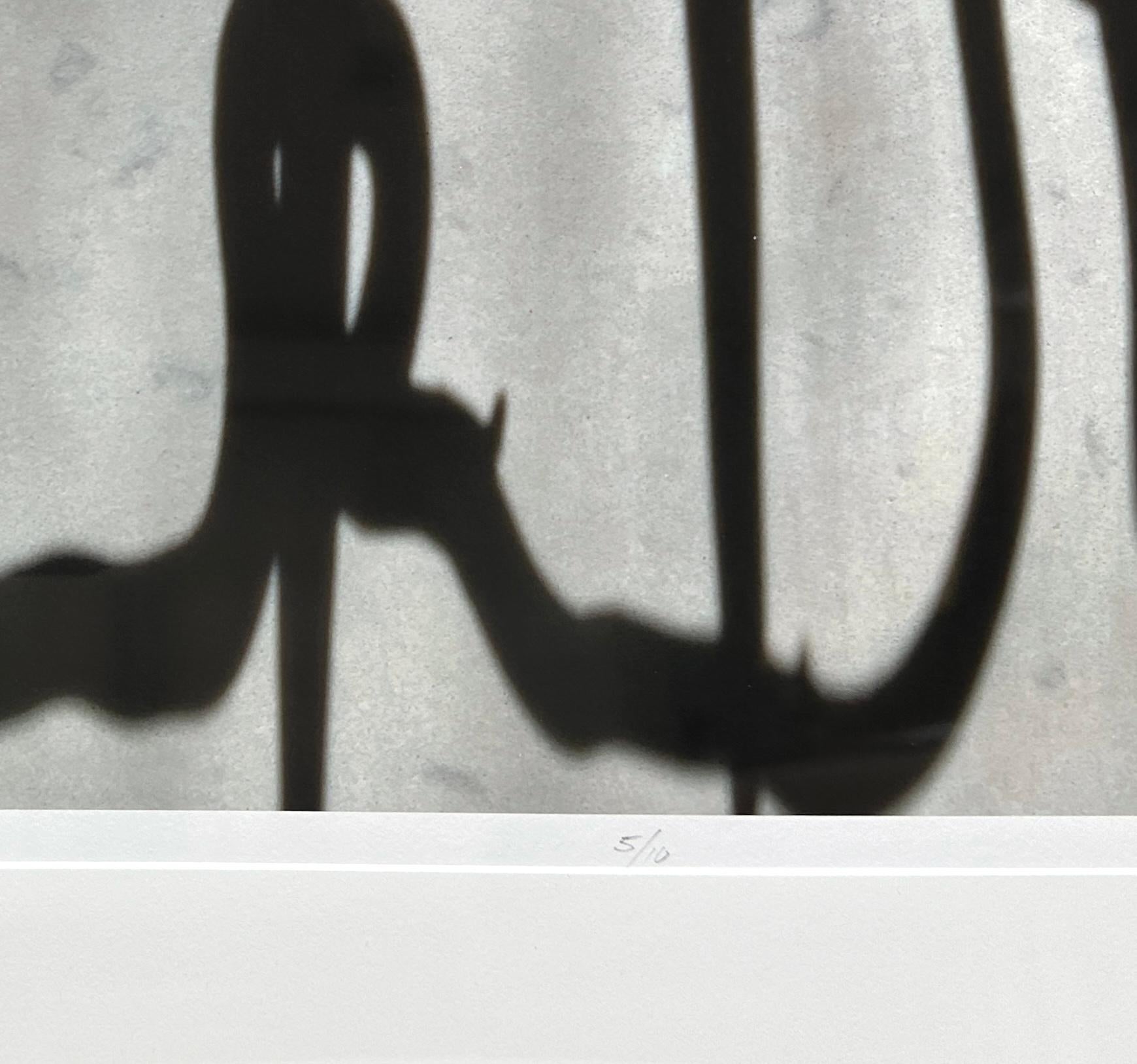 2159 sin título enmarcado: fotografía de bodegón con cornamenta, motivos abstractos de sombras en venta 3