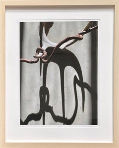 Framed untitled 2159: still-life photograph w/ antler, abstract shadow patterns