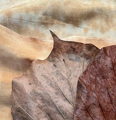 "Leaves" series #1990: minimalist nature still-life leaf photograph, earth tones