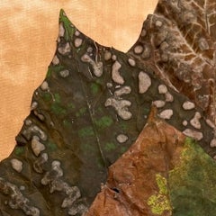 Leaves series #3418: minimalist nature still-life leaf photograph, yellow, green