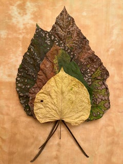 Leaves Serie #3418: minimalistische Nature Stillleben Blatt Fotografie, gelb, grün
