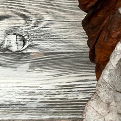 Leaves series #3689: minimalist nature still-life leaf photograph, red woodgrain