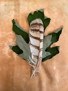 Serie de las hojas nº 4520: fotografía minimalista de naturaleza muerta hoja verde y pluma