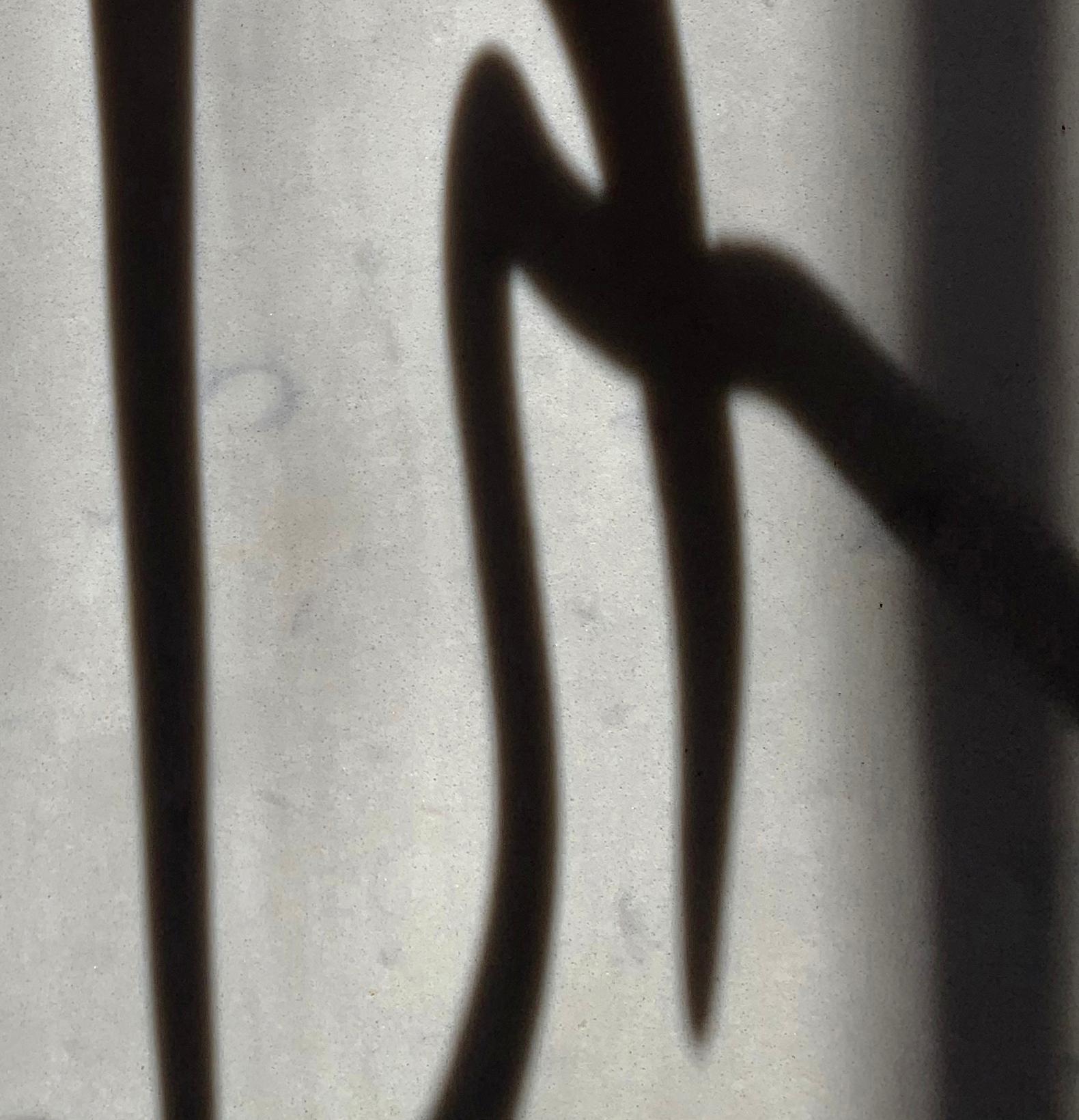 Sin título (2159): fotografía de bodegón con cornamenta y motivos abstractos de sombras, grande - Still-Life Photograph Gris de Paul Cava