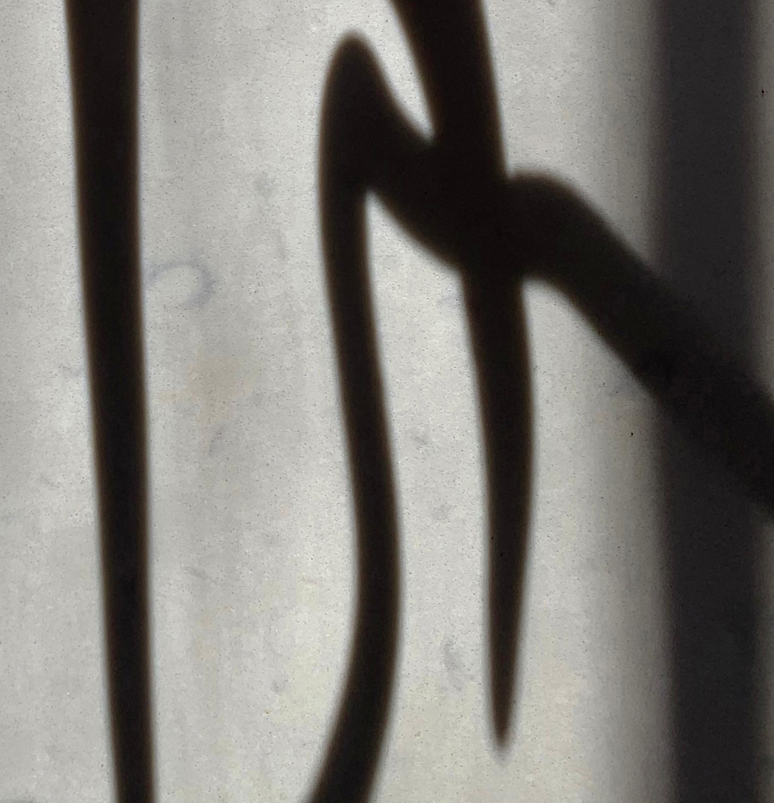 Ohne Titel (2159): Stilllebenfotografie mit Geweih und abstrakten Schattenmustern (Grau), Still-Life Photograph, von Paul Cava