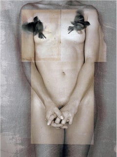 Paul Cava photography art book illustrated w/ nude, still life & abstract images